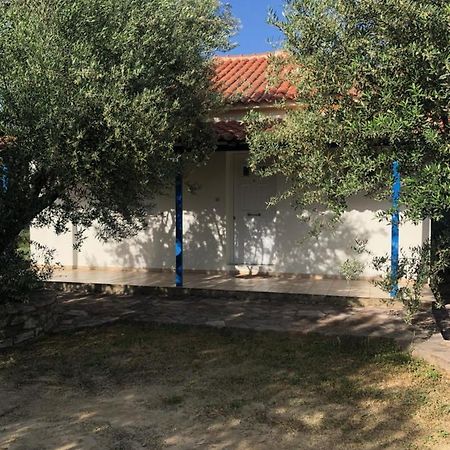 فيلا Aggeliki House 4 Kómboi المظهر الخارجي الصورة
