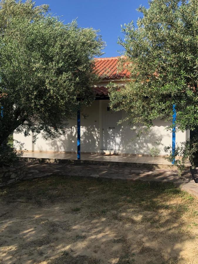 فيلا Aggeliki House 4 Kómboi المظهر الخارجي الصورة